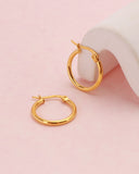 Luminara Gold Hoop Earrings Luminara Gold Hoop Earrings