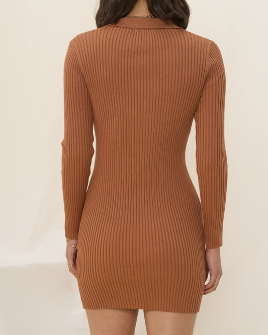 Cece Brown Long Sleeve Collared Knit Mini Dress
