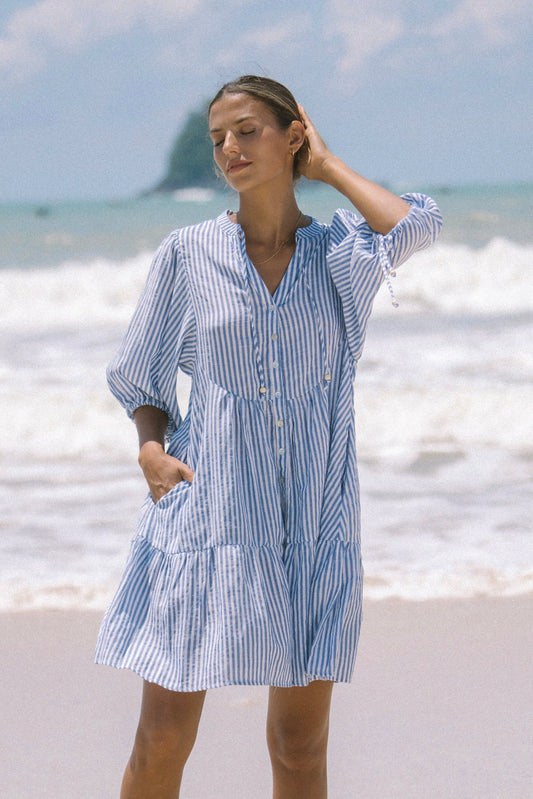 Riley Blue Stripe Button Down Mini Dress