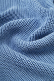 Nico Blue Knit Top