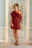 Eileen Wine Red Mini Dress
