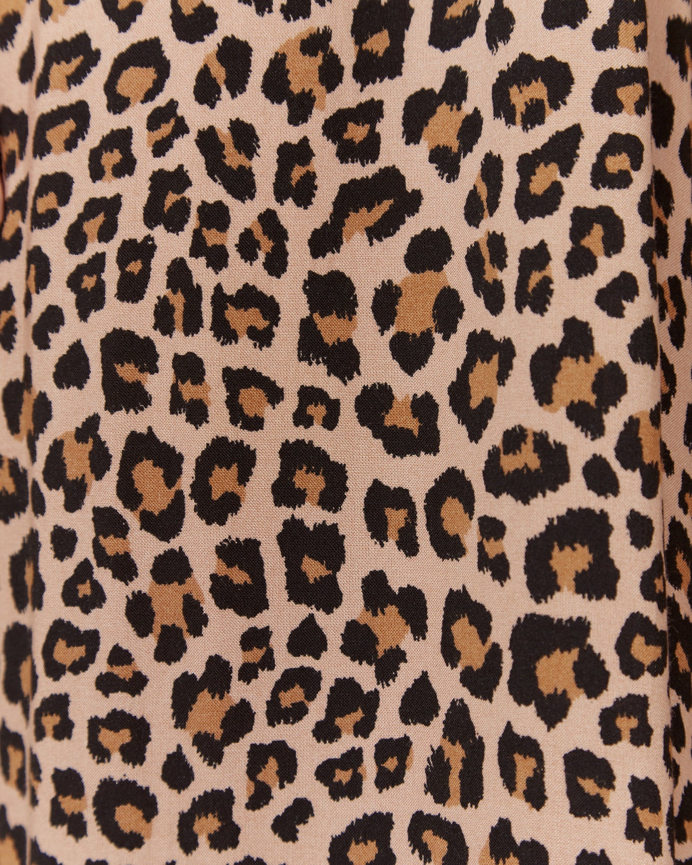 llliana Leopard Wide Leg Pants