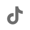 tiktokIcon