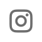 instagramIcon